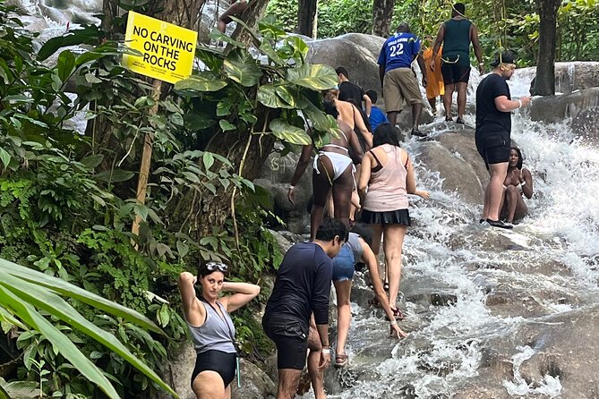 Private Tour To Blue Hole and Dunn’s River from Montego Bay - Blue Hole and its river setting
