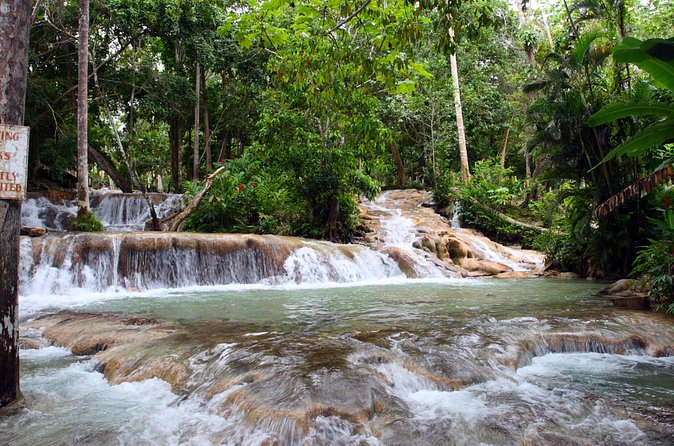 Private Tour to Dunn's River Falls From Ocho Rios - The one-hour climb through pools and cascades