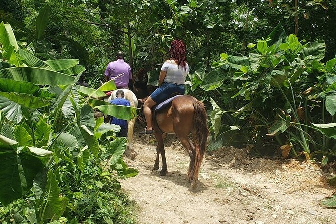 Private Tour to Dunns River and Horseback Riding with Local Guide - Two Jamaican classics in one six-hour day