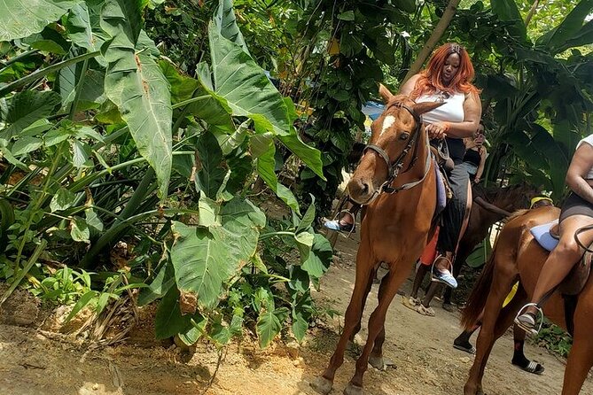 Private Tour to Dunns River and Horseback Riding with Local Guide - From rushing water to a quiet beach ride
