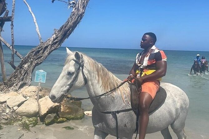 Private Tour to Dunns River and Horseback Riding with Local Guide - Why a local guide changes the day