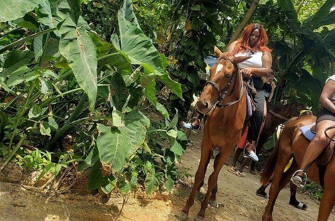 Private Tour to Dunns River and Horseback Riding with Local Guide - Who will enjoy this most