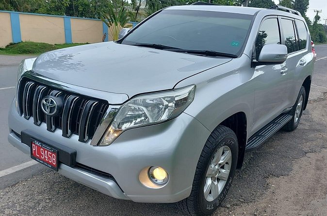 Private Transfer from Sangster Intl Airport to Runaway Bay Hotels - Flight tracking makes the pickup more useful