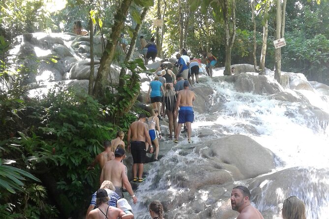 Private Transfer to Dunns River Blue Hole Tubing from Montego Bay - Blue Hole: jumps, pools, and a more active river stop