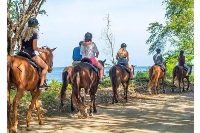 Private Transport and Airport Transfer in Montego Bay - What the 10 to 20 minute ride includes