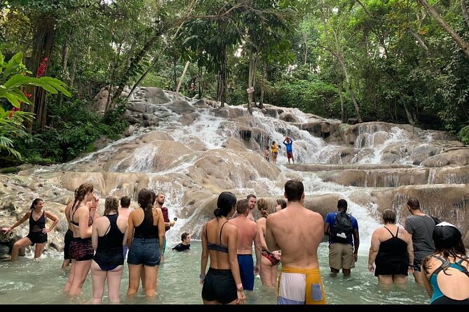 Private Transportation from Montego Bay to Mystic Mountain and Dunn's River Fall - Key points to know before booking