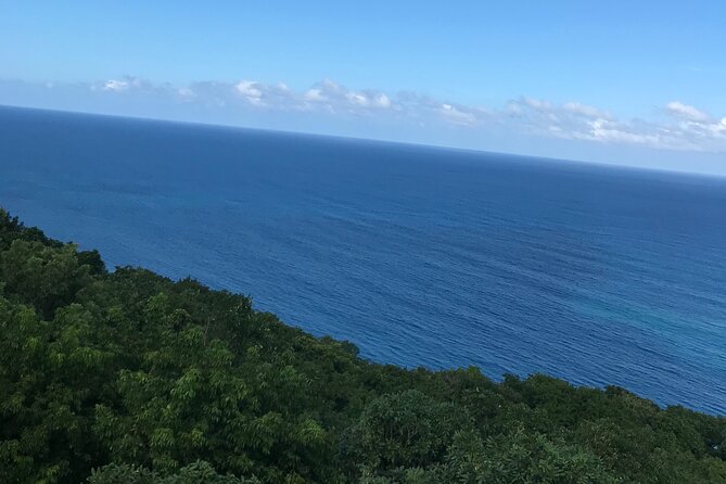 Private Transportation from Montego Bay to Mystic Mountain and Dunn's River Fall - Price, extra costs, and overall value