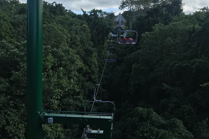 Private Transportation from Montego Bay to Mystic Mountain and Dunn's River Fall - Who will get the most from this experience