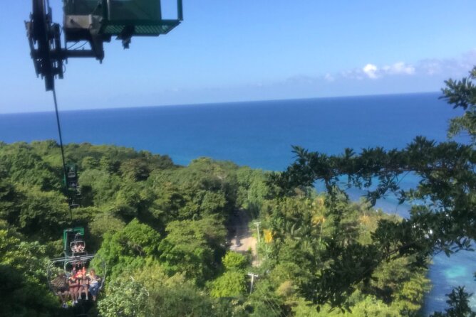 Private Transportation from Montego Bay to Mystic Mountain and Dunn's River Fall - Practical tips for a smoother day