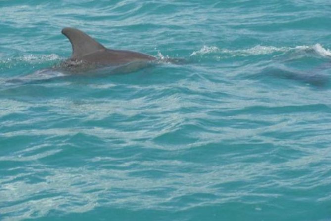 [PRIVATE] YS Falls, Black River, Pelican Bar - Entrance & Lunch - Leaving Montego Bay for the South Coast