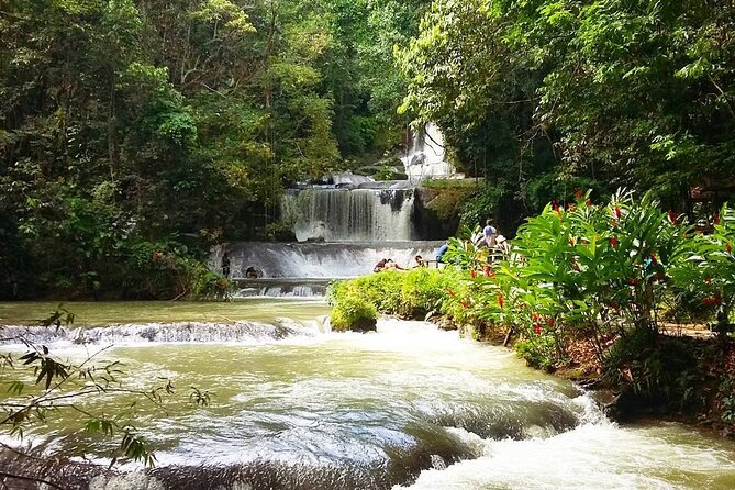 [PRIVATE] YS Falls, Black River, Pelican Bar - Entrance & Lunch - YS Falls: Water, Pools, and an Optional Zipline