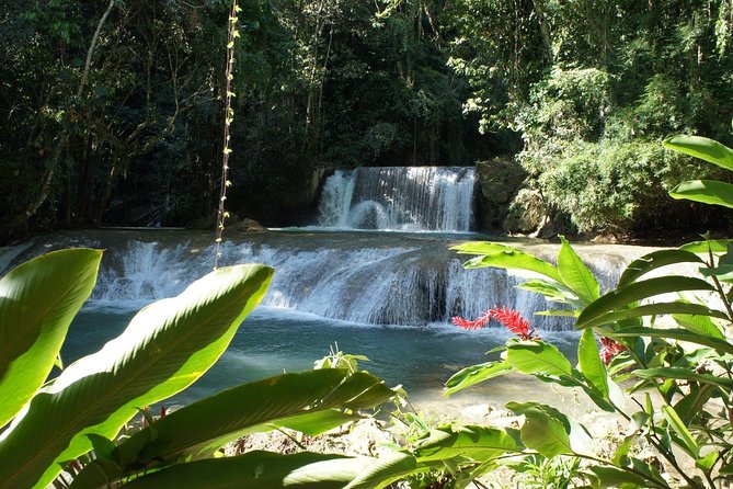 [PRIVATE] YS Falls from Negril - Entrance fees + Lunch Included - From Negril to Jamaica’s south coast