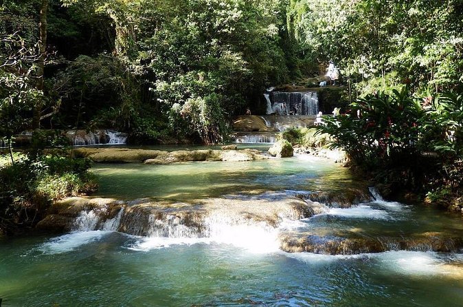 [PRIVATE] YS Falls from Negril - Entrance fees + Lunch Included - Who will enjoy this YS Falls trip most