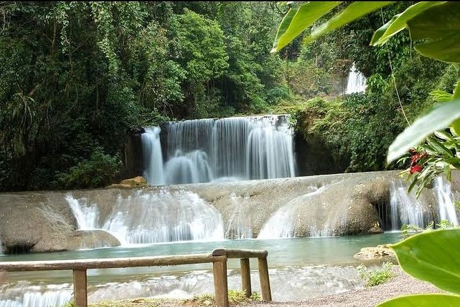 Private YS Falls Tour from Montego Bay - The guide can shape the whole day