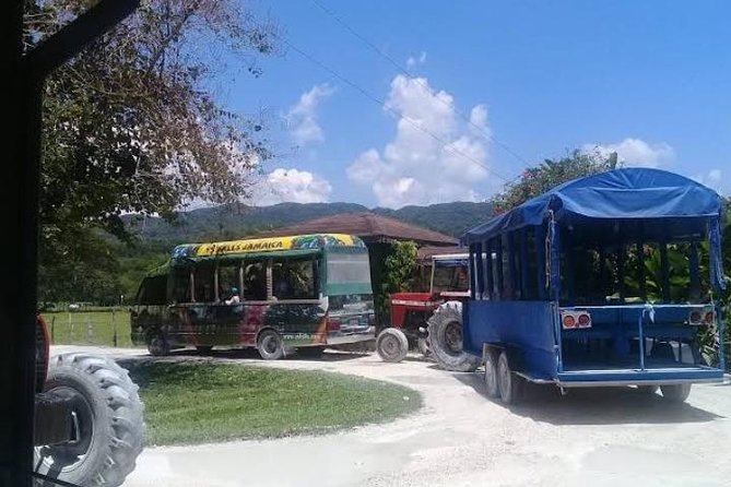 Private YS Falls Tour from Montego Bay - Who will enjoy this tour most