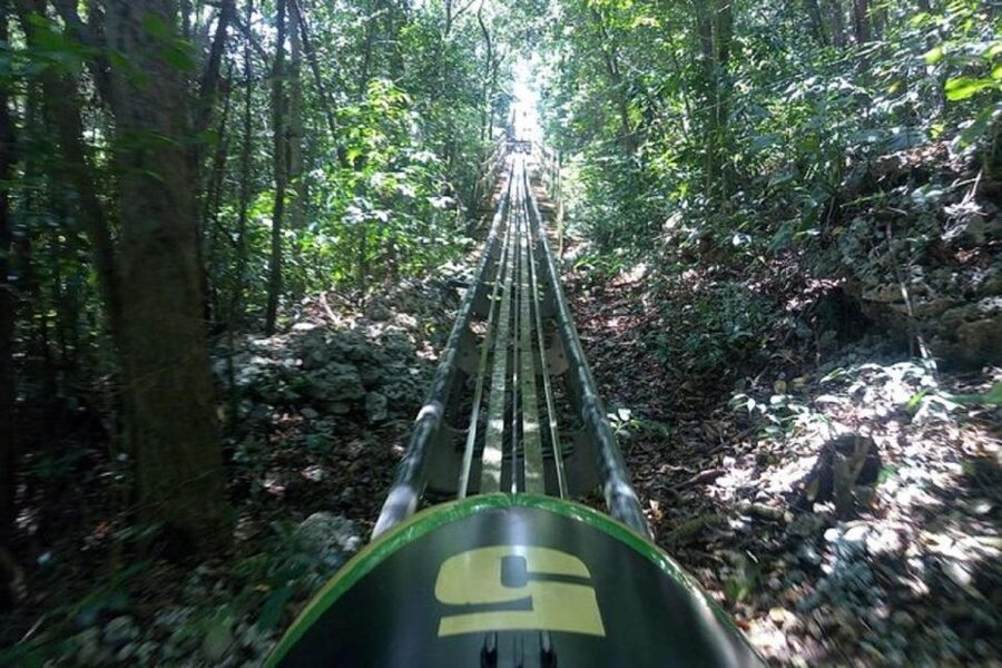 Rainforest Bobsled Mystic Mountain transportation - Practical advice for the day