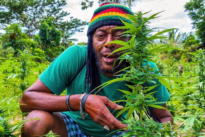 Rastafari Cultural ATV Community Experience from Montego Bay - Key points to know before you book