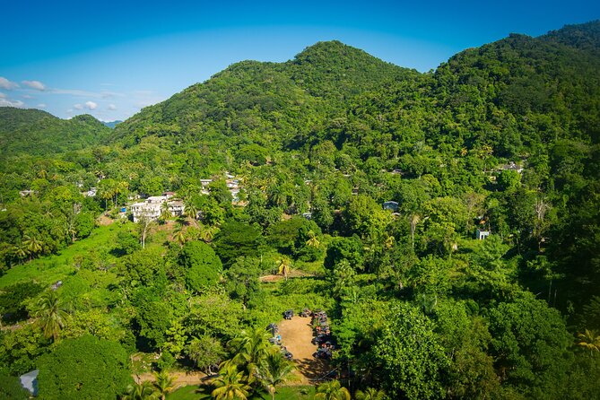 Rastafari Cultural ATV Community Experience from Montego Bay - Forest tracks, farms, and the views around Roaring River