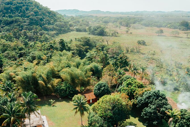 Rastafari Cultural ATV Community Experience from Montego Bay - A working ganja field and Jamaican plant life