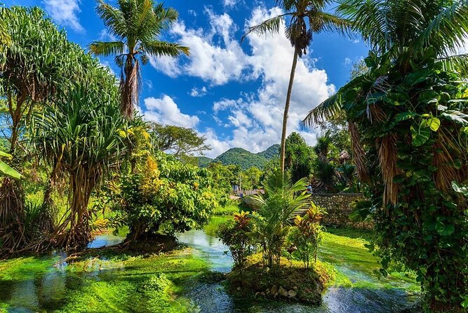Rastafari Cultural ATV Community Experience from Montego Bay - Fruit picked fresh from the trees