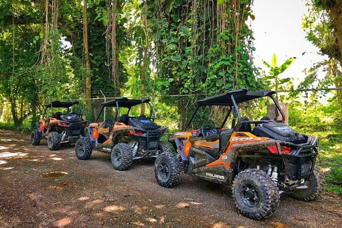 Rastafari Cultural ATV Community Experience from Negril - Key points to know before you book