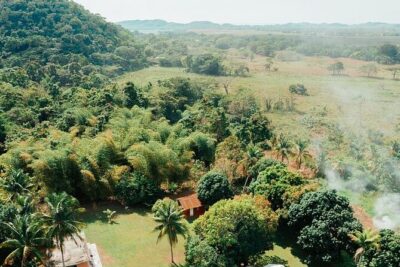 Rastafari Cultural ATV Community Experience from Negril