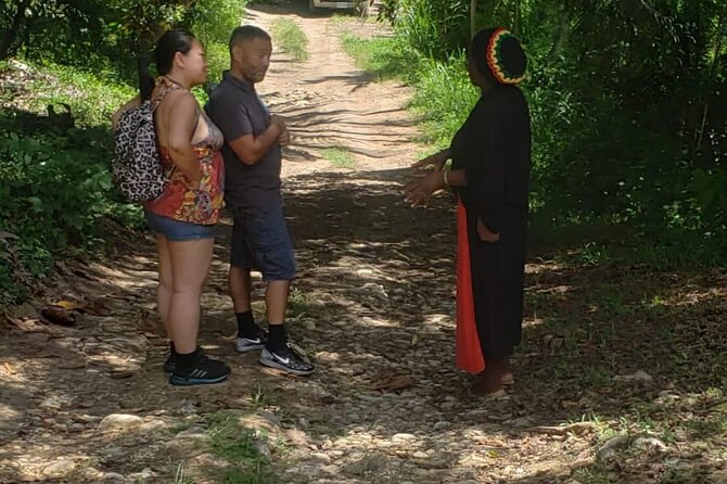 Rastafari Indigenous Village Tour - Pickup, timing, and weather concerns