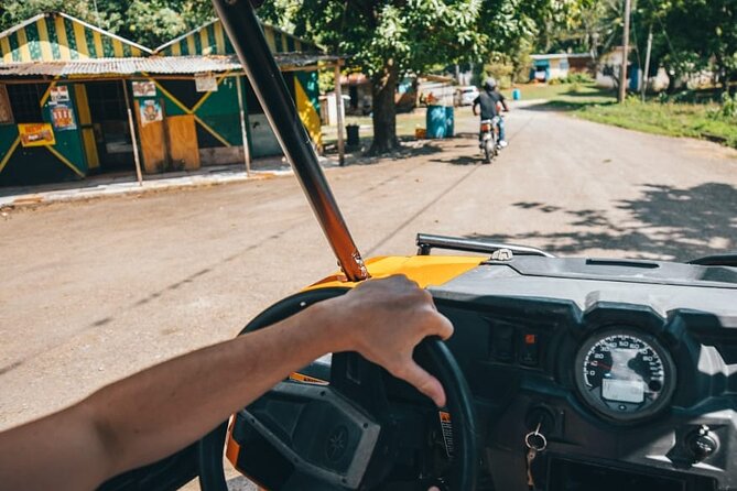 Rastasafari ATV Experience - Plants, fruit, and Jamaican culture