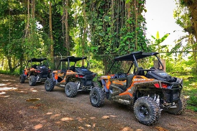 Rastasafari Experience ATV Adventure and Local Day Out - The ride from Montego Bay to Roaring River