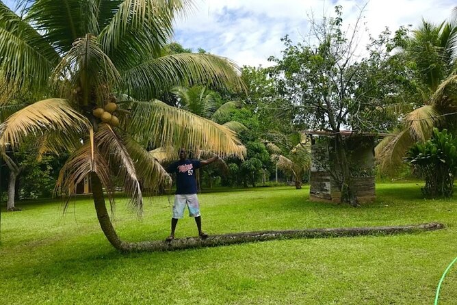 Rastasafari Experience ATV Adventure and Local Day Out - Fruit, sugarcane, and the taste of place