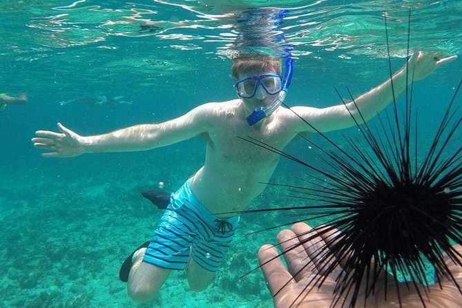Rick's Cafe Sunset Cruise and Snorkelling - Key things to know before booking