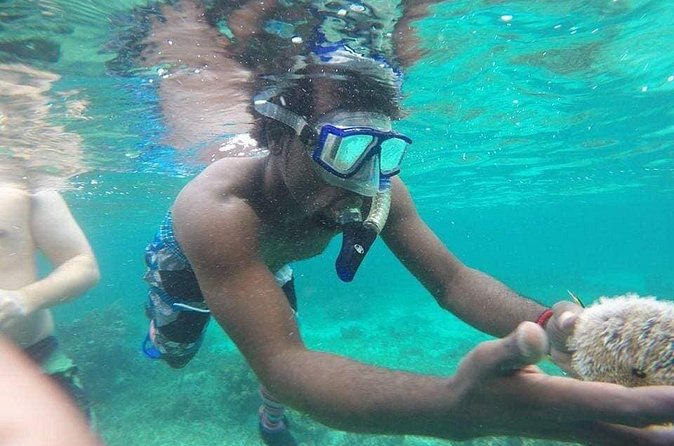 Rick's Cafe Sunset Cruise and Snorkelling - Music, drinks, and the open-bar ride