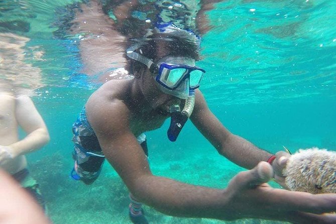 Rick's Cafe Sunset Cruise and Snorkelling - Timing, weather, and cancellation details