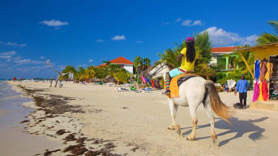 Ricks cafe & 7mile Beach Day Tour From Montego Bay. - The road west from Montego Bay