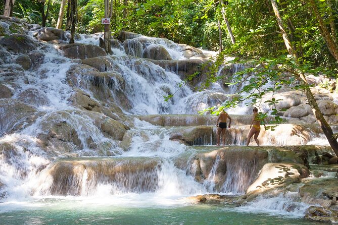 Rio Nuevo Bamboo River Rafting & Dunn's River Falls - A quiet start on the Rio Nuevo River