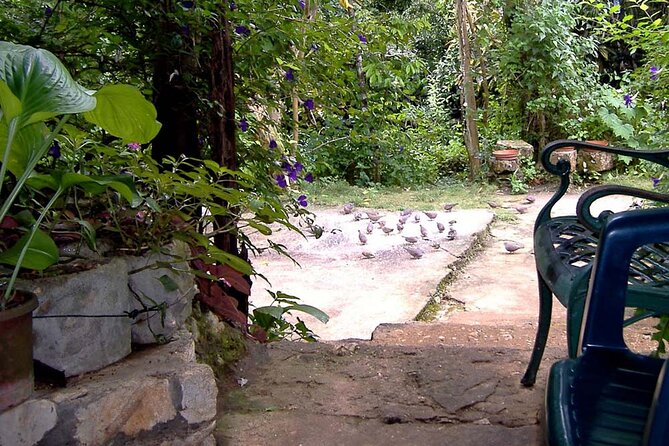 Rockland Bird Sanctuary plus Montego Bay Highlights & Shopping Private Tour - Shopping for gifts before you leave