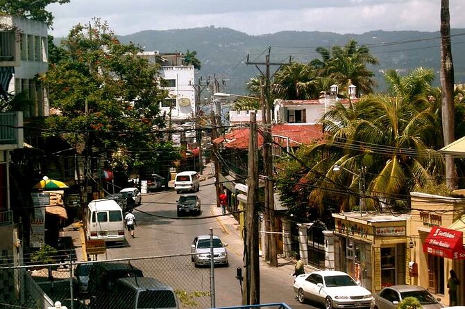 Rockland Bird Sanctuary plus Montego Bay Highlights & Shopping Private Tour - What the $123 price means