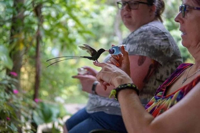 Rockland Bird Sanctuary Private Tour - The two-hour visit at Rocklands