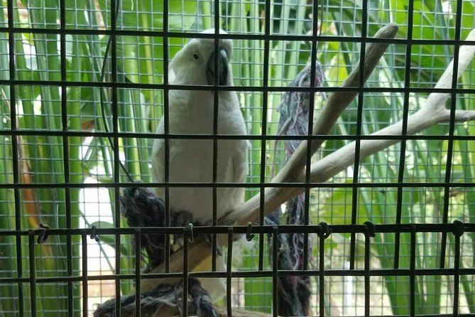 Rockland Bird Sanctuary Private Tour - Guides, drivers, and the human side of the visit