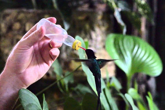 Rockland Bird Sanctuary Private Tour - Weather, timing, and cancellation details
