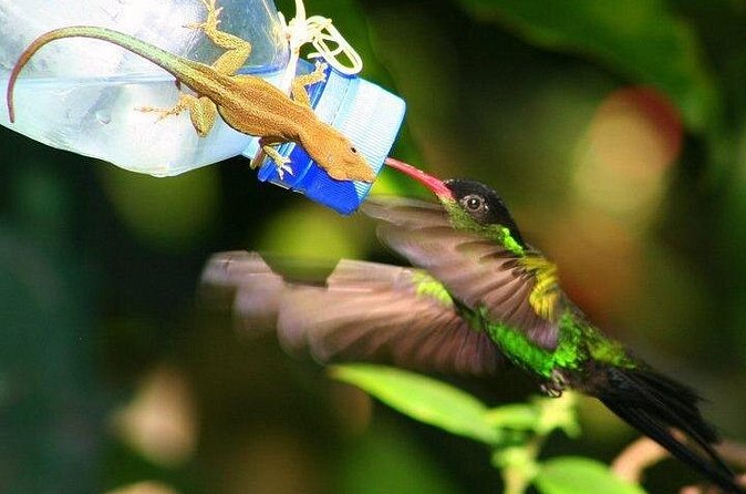 Rockland Bird Sanctuary Private Tour - Weather, timing, and the pace of the visit