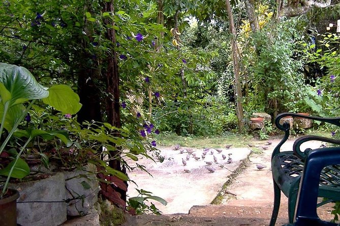 Rockland Bird Sanctuary Private Tour - The 20-minute ride from Montego Bay to Anchovy