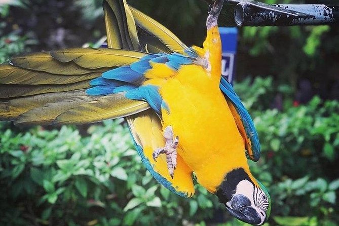 Rockland Bird Sanctuary Tour [Transportation] Hotel Pick-Up - Key points to know before you book