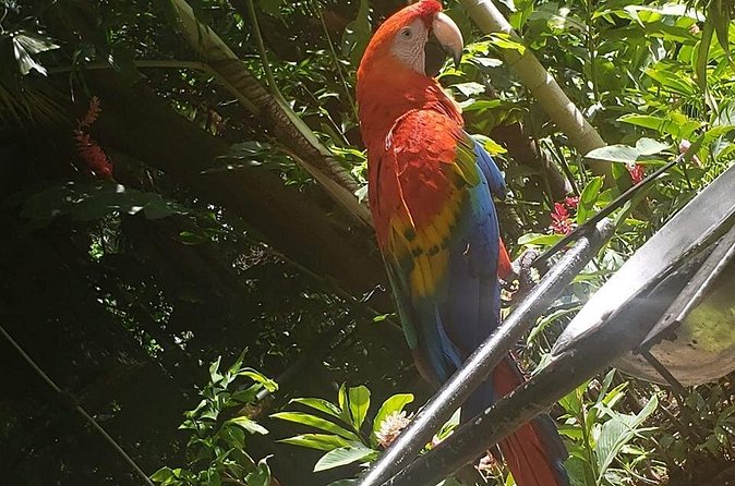 Rockland Bird Sanctuary Tour [Transportation] Hotel Pick-Up - Who will enjoy this most