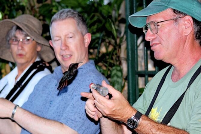 Rocklands Bird Sanctuary and Montego Bay Highlights Tour from Falmouth - Key points to know before you book