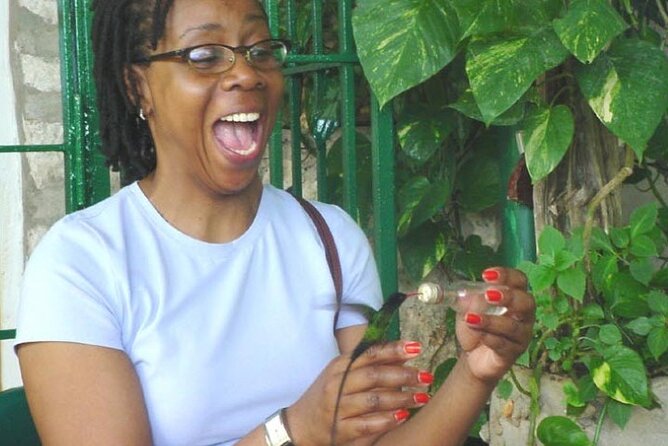 Rocklands Bird Sanctuary and Montego Bay Highlights Tour from Falmouth - What the $145 price really covers