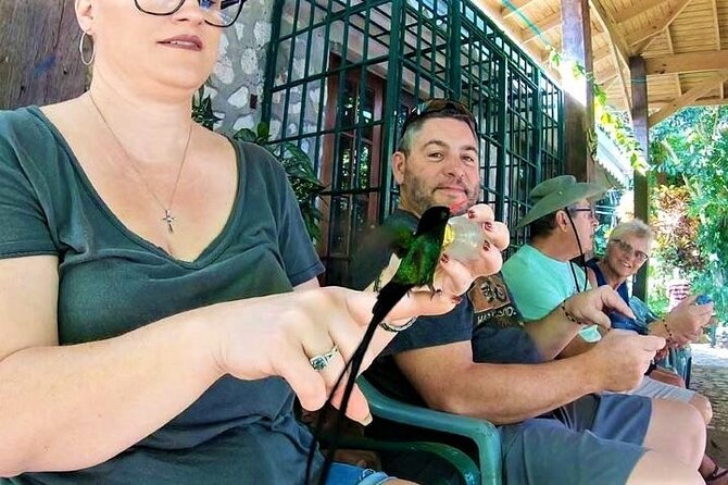 Rocklands Bird Sanctuary and Montego Bay Highlights Tour from Falmouth - The guide can shape the whole day