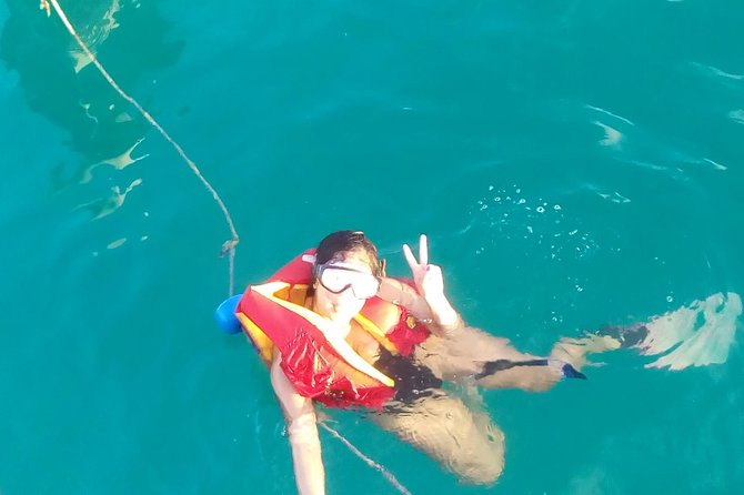 Sailing Adventure Cruise from Montego Bay - The coral reef stop and what you may see