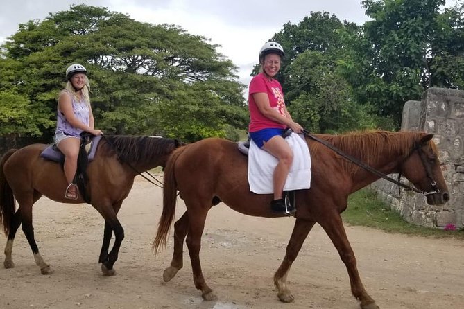 Sand n Saddle Horseback Ride & Swim Tour from Falmouth - Key points to know before you book