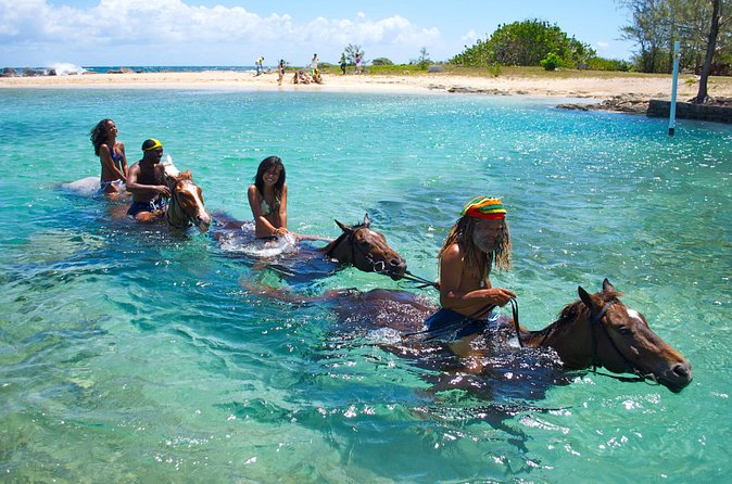 Sand n Saddle Horseback Ride & Swim Tour from Falmouth - Why families and beginners are a good match